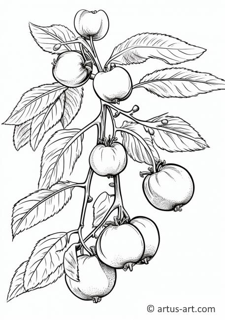 Kolorowanka z liśćmi persymonu